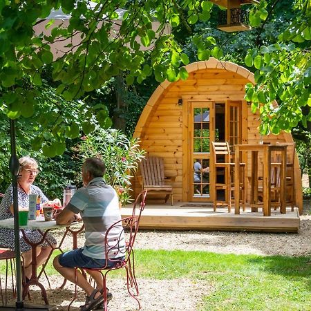 Cabane En Bois Avec Bain Nordique Asnieres-sur-Vegre Eksteriør bilde